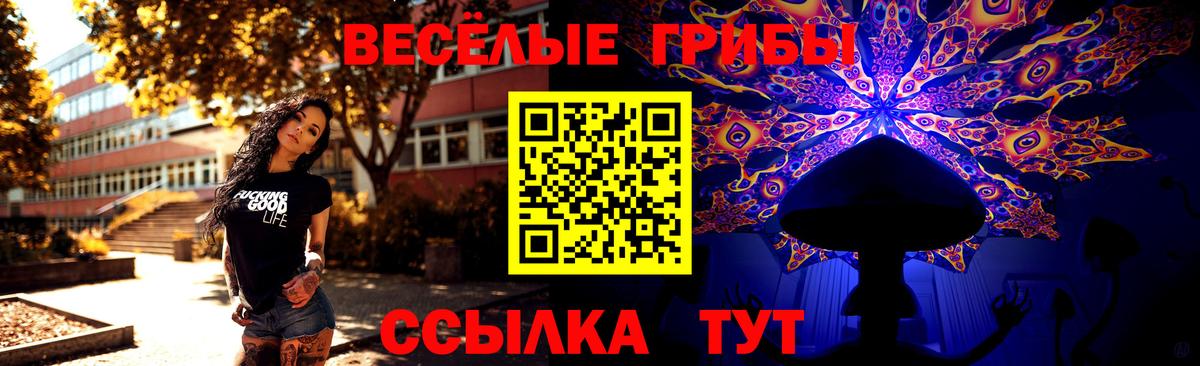 Бирск  Галлюциногенные грибы Psilocybine cubensis  Вход с VPN  Псилоцибиновые грибы мухоморы 
